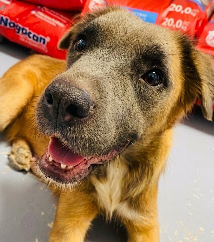 Fiona